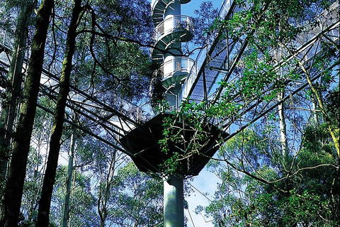 Adventure Sunset Three Day Great Ocean Road Tour - eAccommodation 19