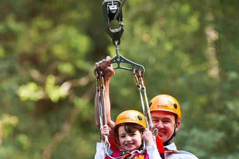 Adventure Sunset Three Day Great Ocean Road Tour - eAccommodation 28