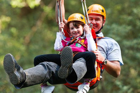 Adventure Sunset Three Day Great Ocean Road Tour - eAccommodation 9