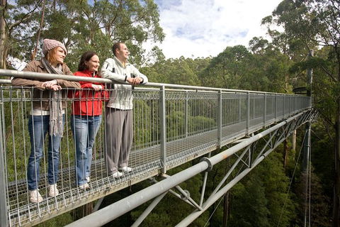 Adventure Sunset Three Day Great Ocean Road Tour - eAccommodation 14