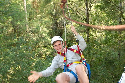 Adventure Sunset Three Day Great Ocean Road Tour - eAccommodation 15