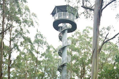 Adventure Sunset Three Day Great Ocean Road Tour - eAccommodation 3