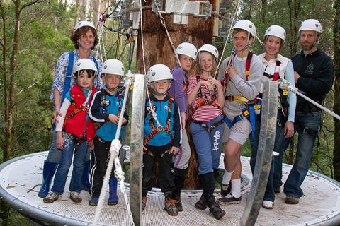 Adventure Sunset Three Day Great Ocean Road Tour - eAccommodation 8