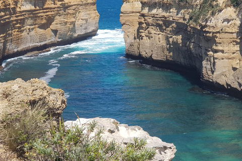 Adventure Sunset Three Day Great Ocean Road Tour - eAccommodation 27