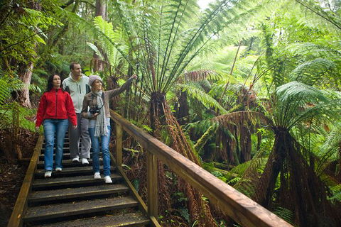 Adventure Sunset Three Day Great Ocean Road Tour - eAccommodation 13
