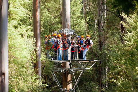 Adventure Sunset Three Day Great Ocean Road Tour - eAccommodation 26