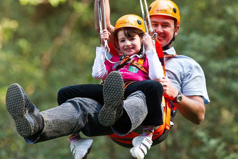 Adventure Sunset Three Day Great Ocean Road Tour - eAccommodation 30