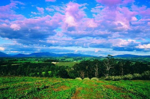 CHEVY CONVERTIBLE Package For 4 -Wine Lunch Cheese & Chocolate From Yarra Valley - eAccommodation 7