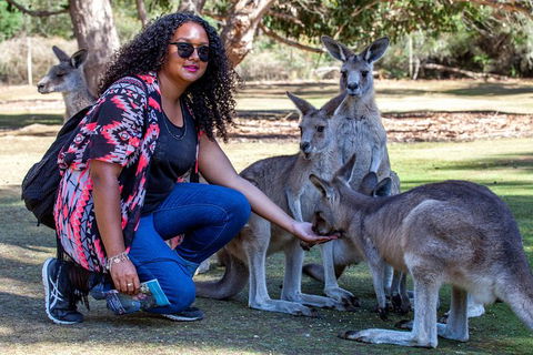 3-Day Tasmania Combo: Launceston To Hobart Active Tour Including Cradle Mountain, Freycinet National Park And Port Arthur - eAccommodation 12