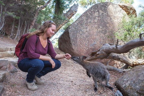 Wineglass Bay Explorer Active Day Trip From Launceston - eAccommodation 26