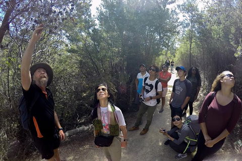 Wineglass Bay Explorer Active Day Trip From Launceston - eAccommodation 8