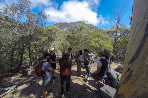 Wineglass Bay Explorer Active Day Trip From Launceston - eAccommodation 3