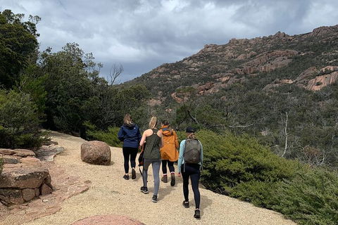 Wineglass Bay Explorer Active Day Trip From Launceston - eAccommodation 15