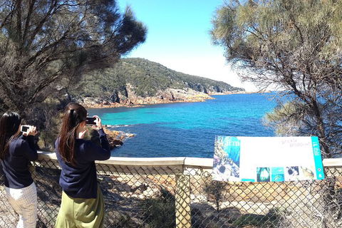 Wineglass Bay Explorer Active Day Trip From Launceston - eAccommodation 24