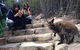 Wineglass Bay Explorer Active Day Trip From Launceston - thumb 7