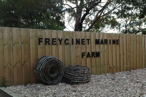 Wineglass Bay Explorer Active Day Trip From Launceston - eAccommodation 5