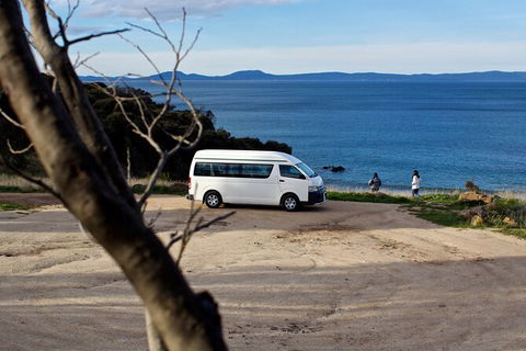 Wineglass Bay Explorer Active Day Trip From Launceston - eAccommodation 10
