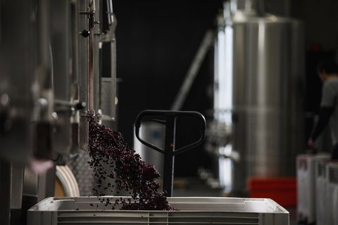 Private 90-minute Moorilla Estate Winery Tour With Tastings And Free Wine Gift - eAccommodation 1