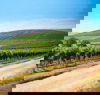 Full Day Tamar Valley Wine Tour - eAccommodation