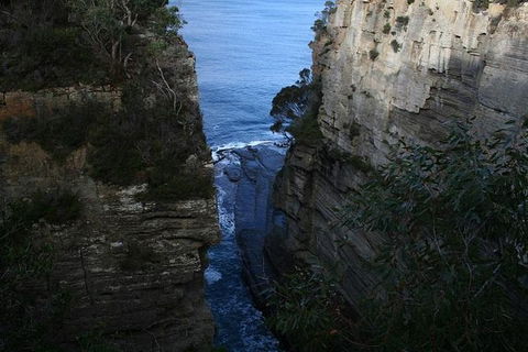 Cruise Ship Special From Port Arthur: Explore Tasman Peninsula With Free WiFi - eAccommodation 1