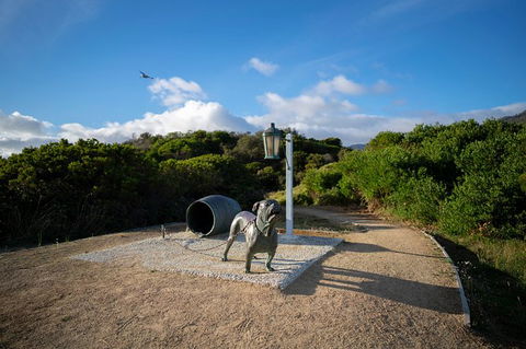 Cruise Ship Special From Port Arthur: Explore Tasman Peninsula With Free WiFi - eAccommodation 9