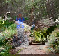 Hollybank Wilderness Adventures - Segway Tour - eAccommodation