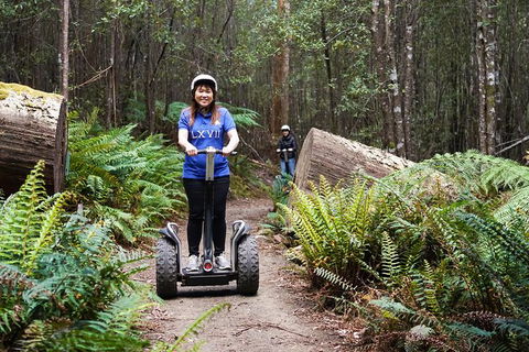 Hollybank Wilderness Adventures - Segway Tour - eAccommodation 0