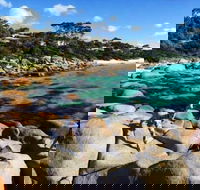 4-Day Tasmania East Coast Adventure from Launceston to Hobart Including Bay of Fires Wineglass Bay Bruny Island and Port Arthu - eAccommodation
