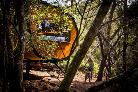 Blue Derby Pods Ride Experience 3-Day Mountain Bike Adventure In Exclusive Pods - eAccommodation 0