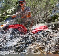 Quad Bike 2-Hour Adventure Freycinet National Park - eAccommodation