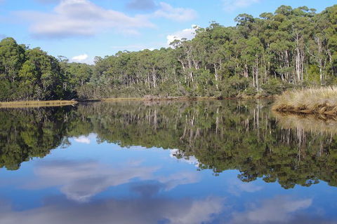 Leven River Picnic Cruise From Ulverstone - eAccommodation 1
