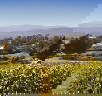 Josef Chromy Wines Winery Tour Including Tasting and Lunch - eAccommodation