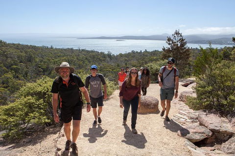 Active Day Tour One-Way From Hobart To Launceston With Wineglass Bay - eAccommodation 3