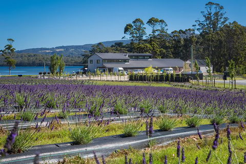 Private Tasman Peninsula Cruise Ship Tour From Port Arthur - eAccommodation 0