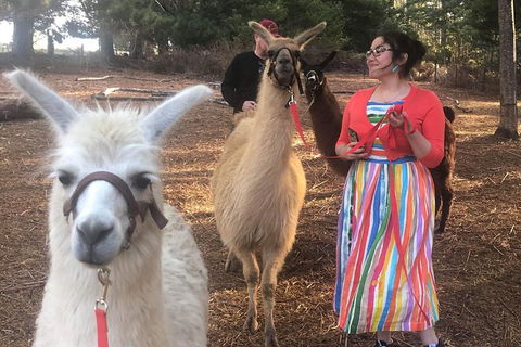 Unguided Family Llama Walk - eAccommodation 1