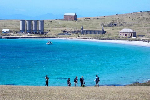 Private Maria Island Hiking Tour With Gourmet Lunch - eAccommodation 1