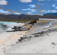 4X4 and Lunch Half Day Bicheno Coastal Mountain - eAccommodation