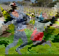 Mclaren Vale Luxury Full Day Small Group Wine Tour - eAccommodation