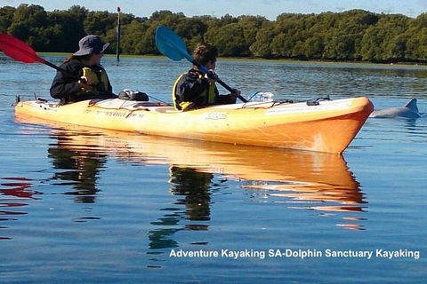 Adelaide Dolphin Sanctuary And Ships Graveyard Kayak Tour - eAccommodation 0