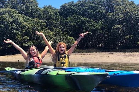 Adelaide Dolphin Sanctuary And Ships Graveyard Kayak Tour - eAccommodation 4