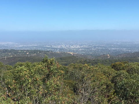 Adelaide Hills And Hahndorf Tour From Adelaide With Wine And Cheese Tasting - eAccommodation 8