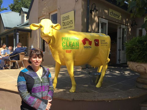 Adelaide Hills And Hahndorf Tour From Adelaide With Wine And Cheese Tasting - eAccommodation 2