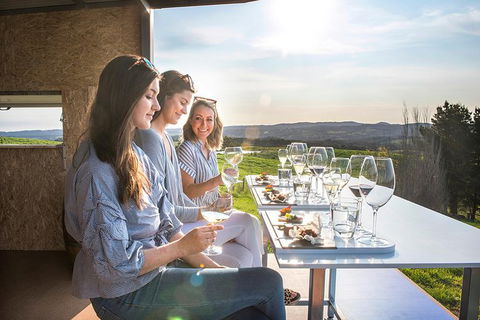 The Lane Vineyard: Panorama Private Wine Tasting Experience - eAccommodation 1