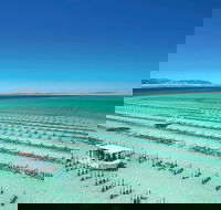 Coffin Bay Day Tour - A Taste of Coffin Bay - eAccommodation