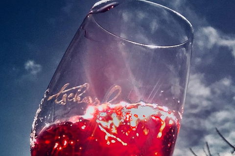 Private Winery Tour Chauffeured - eAccommodation 7