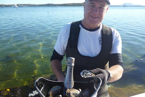 Oyster Farm And Tasting Tour With Hotel Pick-up And Return From Port Lincoln - eAccommodation 0