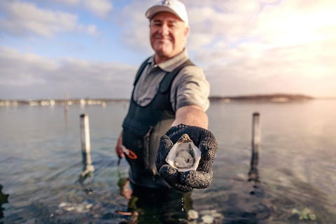 Oyster Farm And Tasting Tour With Hotel Pick-up And Return From Port Lincoln - eAccommodation 3