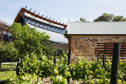 Australian Wine Discovery Tour With Tastings - eAccommodation 6