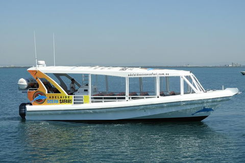 Adelaide Ocean Safari - Wild Dolphin Safari - eAccommodation 0