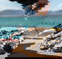 Experience Coffin Bay Oyster Farm and Bay Tour - eAccommodation